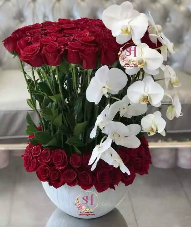 باکس گل آرشیدا باکس گل آرشیدا