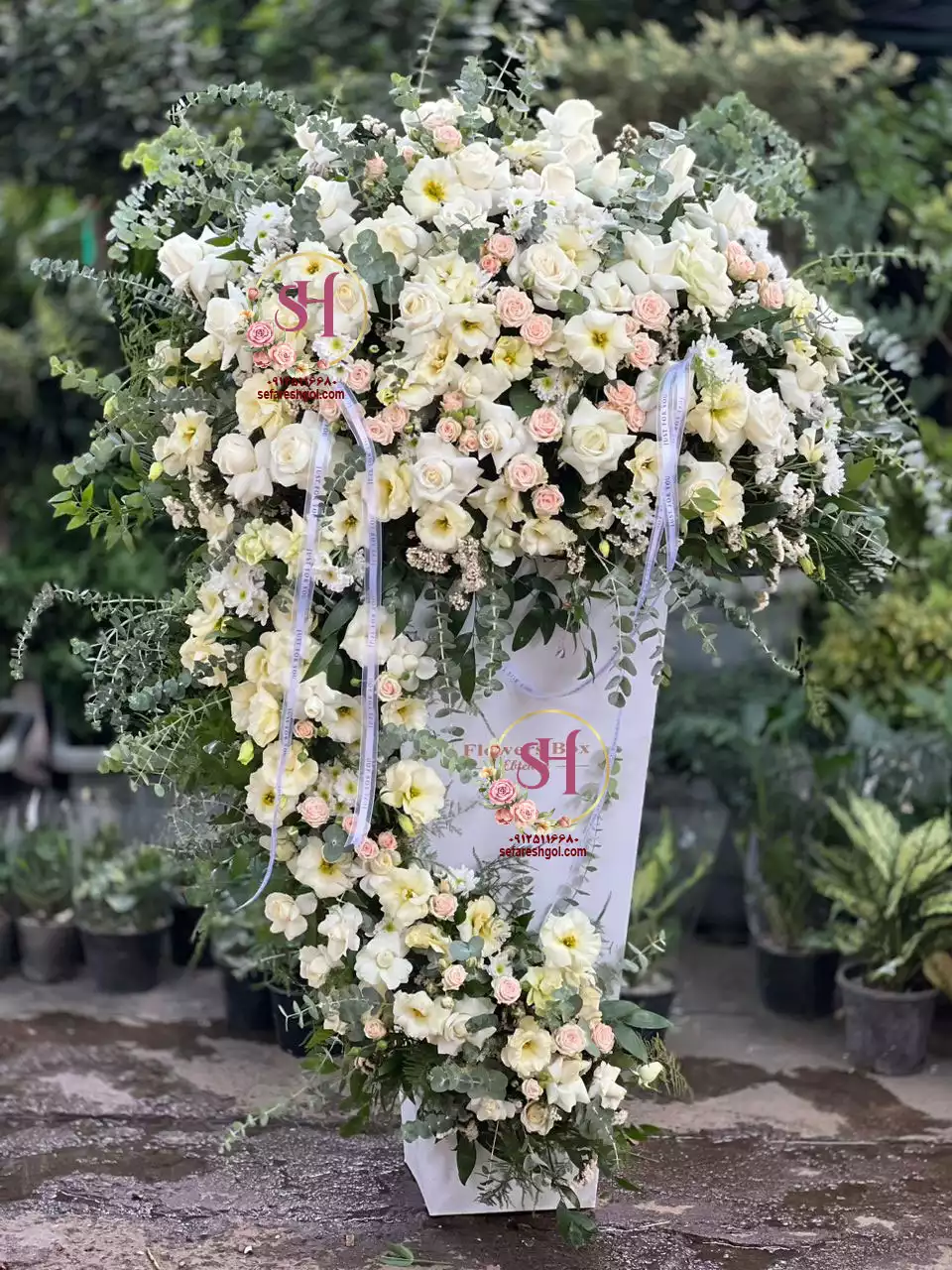 باکس گل آلما