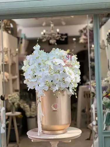باکس-گل-ستایش