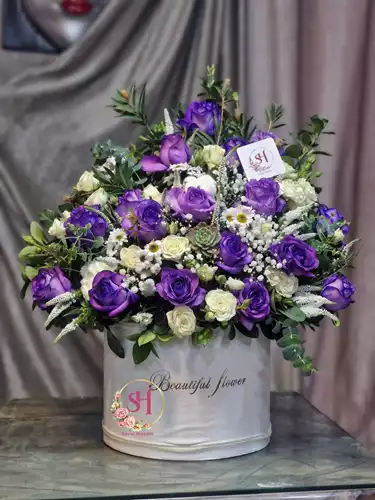 باکس-گل-سهند-251
