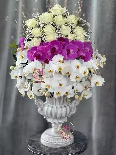 جام-گل-شیک-سپیده-342