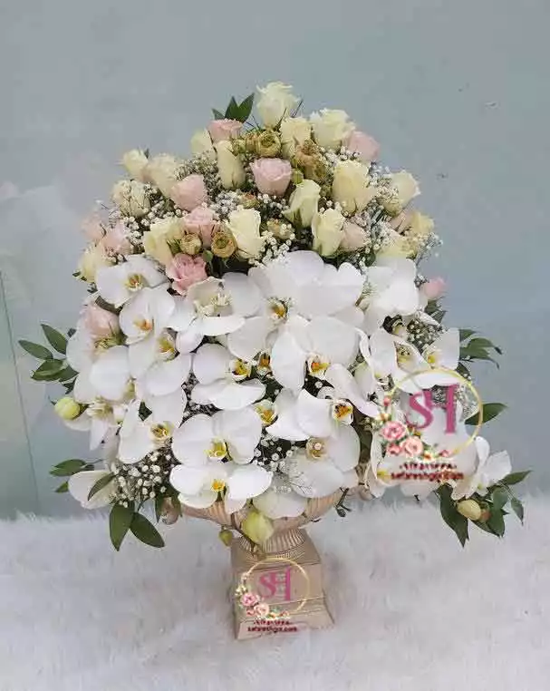 جام گل فرشته جام گل فرشته