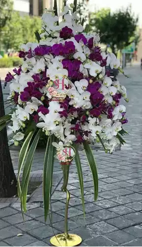 جام-گل-لاکچری-ارکیده-2-409