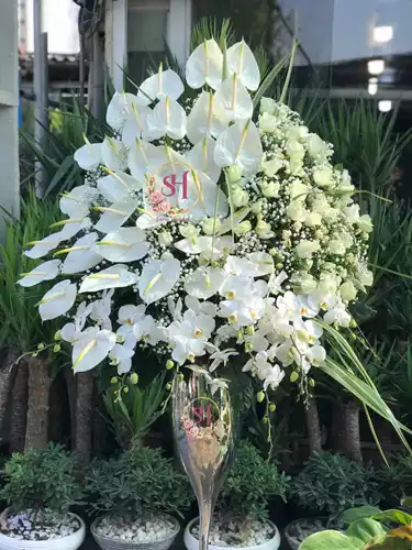 جام-گل-نیکی-238