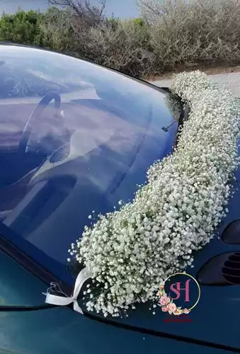 ماشین-عروس-5-415