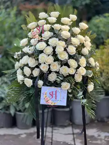 پایه-گل-رز-هلندی-امین-52