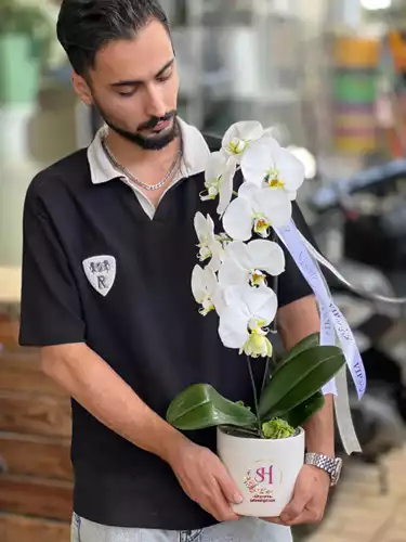 گلدان-ارکیده-1-شاخه-495