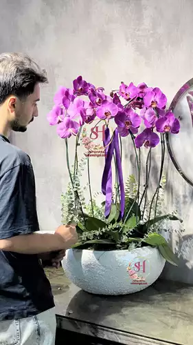 گلدان-ارکیده-1-492