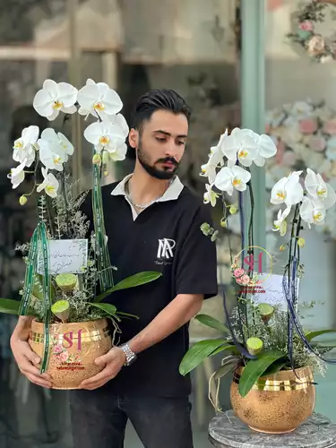 گلدان-ارکیده-2-شاخه-497