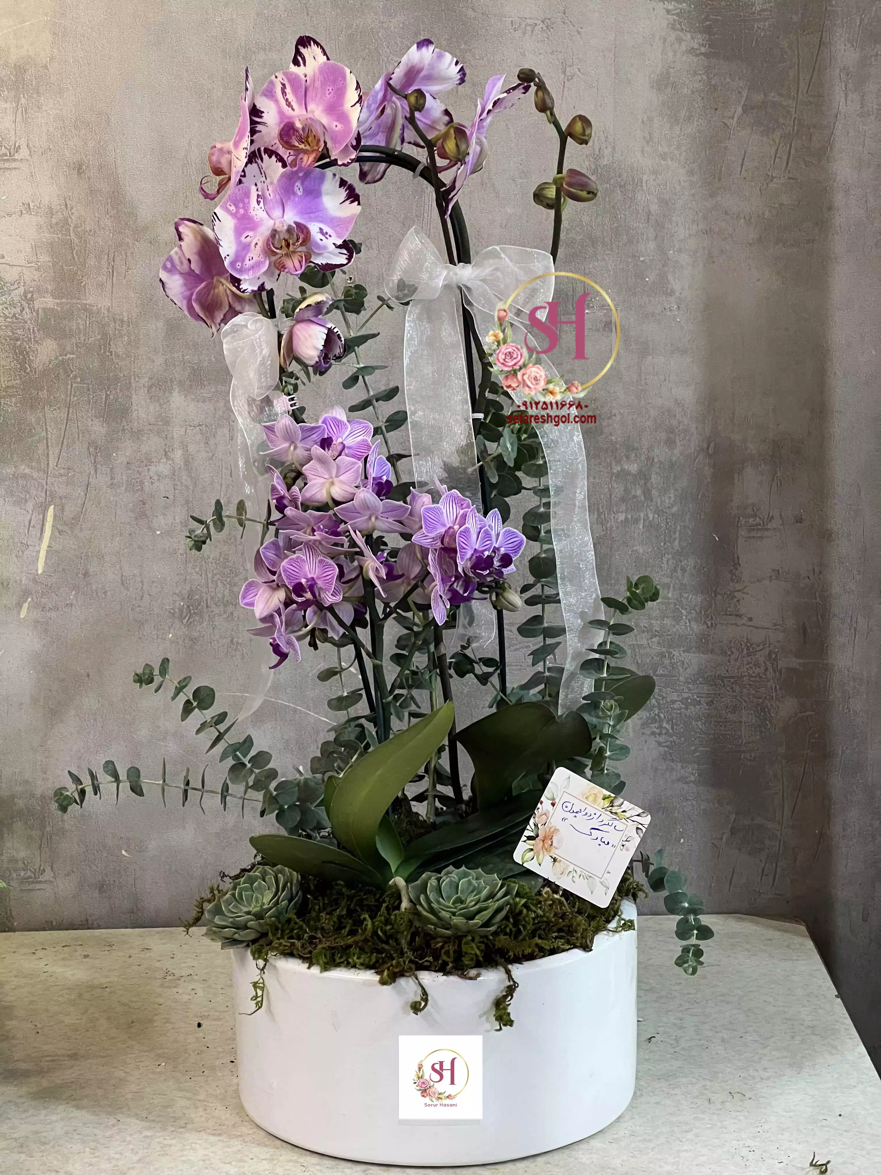 گلدان ارکیده 3