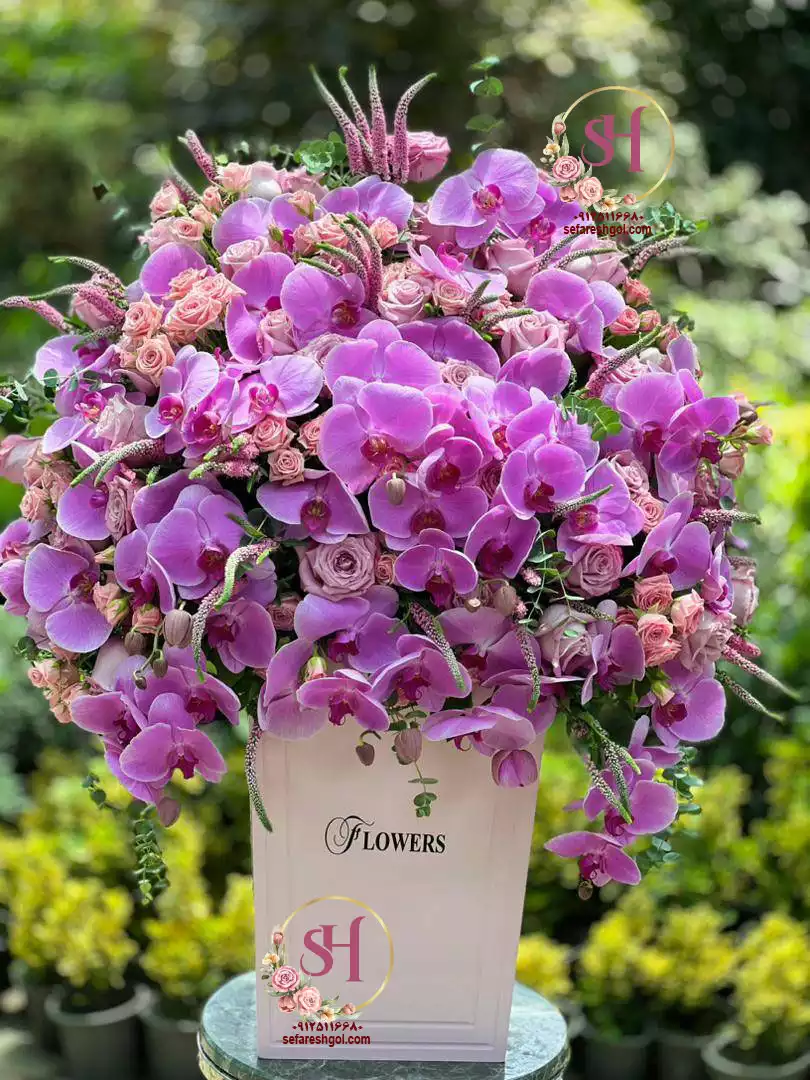 باکس گل ثمین باکس گل ثمین