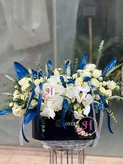 باکس گل رز هلندی (اسپرت)