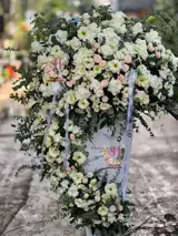 باکس گل آلما