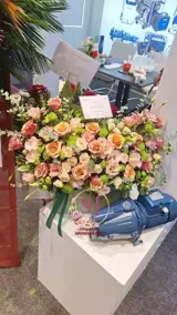 باکس گل تبریک 