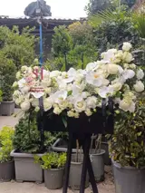 باکس گل ترحیم 