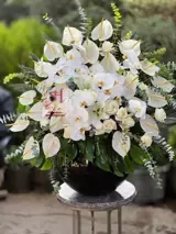 باکس گل تسلیت 