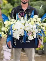 باکس گل رز هلندی (اسپرت)