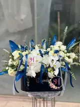 باکس گل رز هلندی (اسپرت)