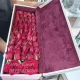 باکس گل رز هلندی (رسمی2) باکس گل رز هلندی (رسمی2)