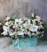 باکس گل پروین