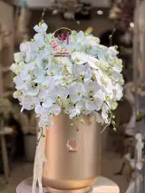 باکس گل ستایش