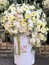 باکس گل شقایق