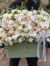 باکس گل ووشه