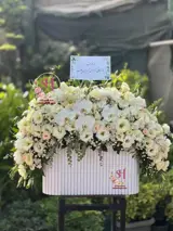 باکس گل طلا