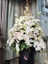 باکس گل فانتزی تبریک باکس گل فانتزی تبریک