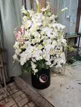 باکس گل فانتزی تبریک باکس گل فانتزی تبریک