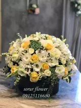 باکس گل آیناز باکس گل آیناز