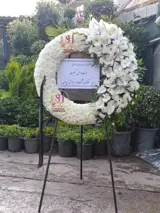 تاج گل درباری 1