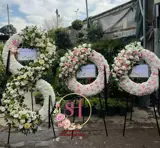 تاج گل درباری نمایشگاهی