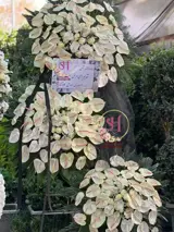 تاج گل سه طبقه لاکچری