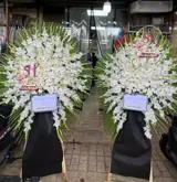 تاج گل فوری 5