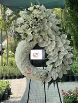 تاج گل لاکچری   تاج گل لاکچری