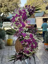 تاج گل لاکچری ارکیده