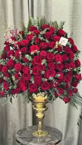 جام گل سناتور جام گل سناتور