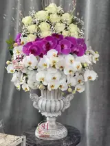 جام گل شیک سپیده