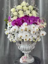 جام گل شیک سپیده