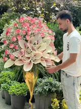جام گل فرشته جام گل فرشته