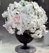 جام گل لاکچری لایت