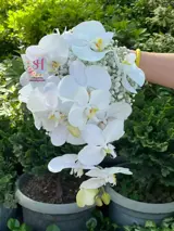 دسته گل عروس اروپایی