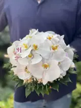 دسته گل عروس اروپایی