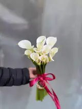 دسته گل عروس شیپوری