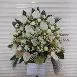 سبدگل آنتریوم لاکچری سبدگل شیک، سبدگل لاکچری، سبدگل انلاین، سبدگل اینترنتی، سبدگب تبریک، سبدگل تسلیت سبدگل آنتریوم لاکچری