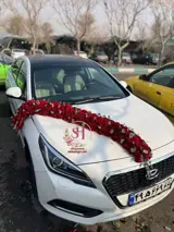 ماشین عروس 8