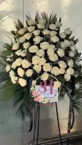 پایه گل رز هلندی امین