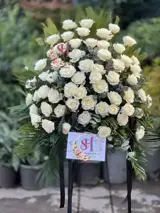 پایه گل رز هلندی امین