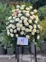 پایه گل رز هلندی امین